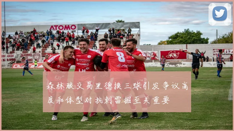 森林狼交易里德换三球引发争议高度和体型对抗刺雷掘至关重要