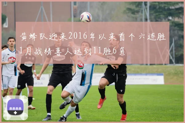 黄蜂队迎来2016年以来首个六连胜1月战绩喜人达到11胜6负